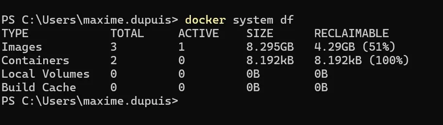 Docker system df output showing disk usage