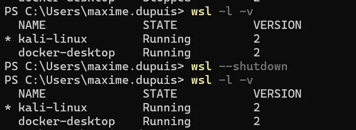 wsl --shutdown command